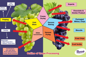 Swasti Agro and Bioproducts Pvt Ltd